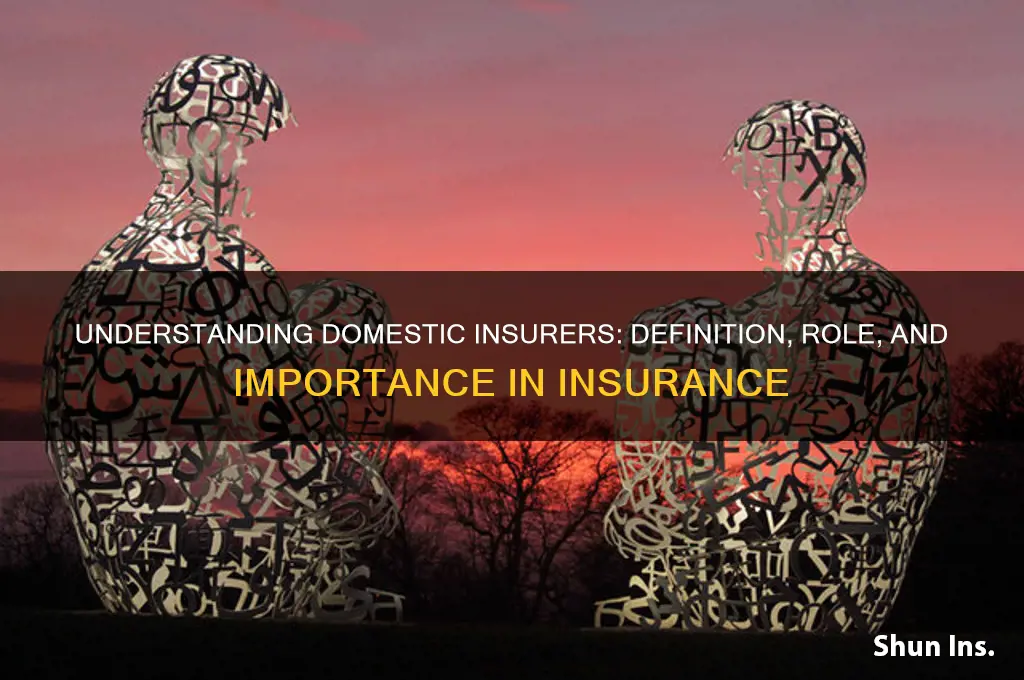 what is a domestic insurer
