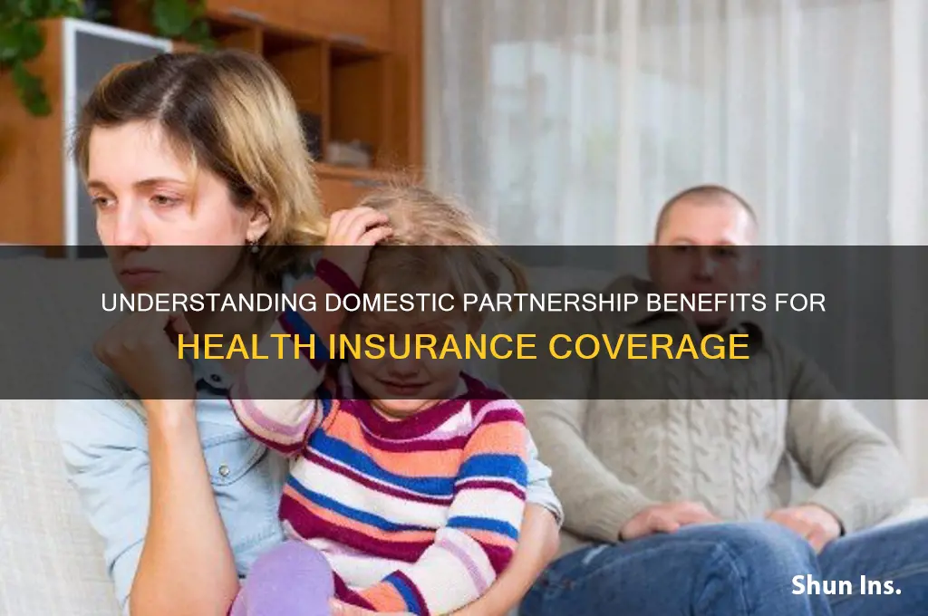 what is a domestic partner for health insurance