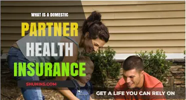 Understanding Domestic Partner Health Insurance: Benefits, Eligibility, and Coverage Explained