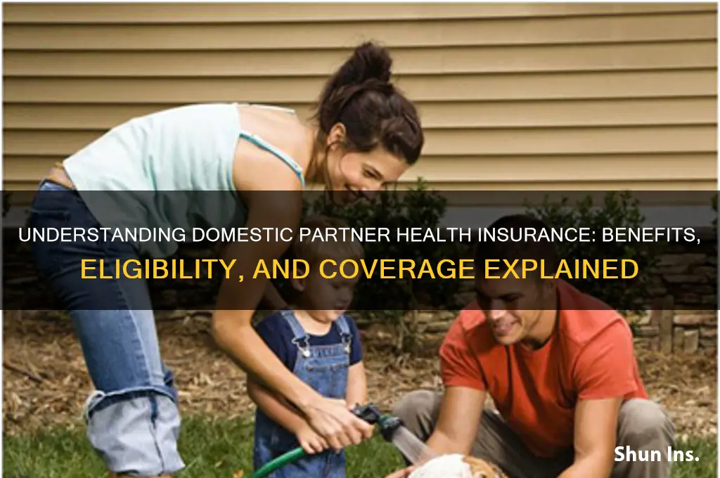 what is a domestic partner health insurance