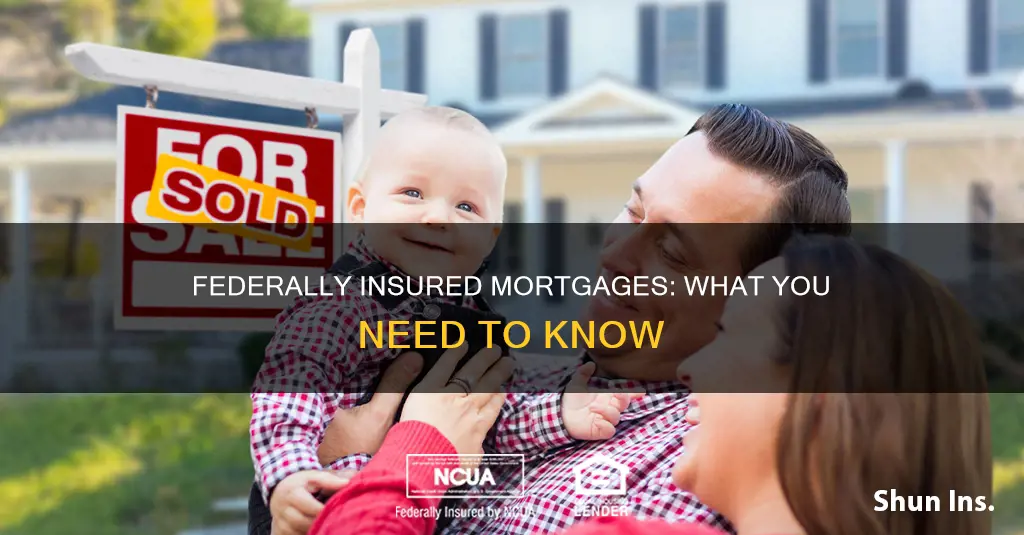 what is a federally insured mortgage