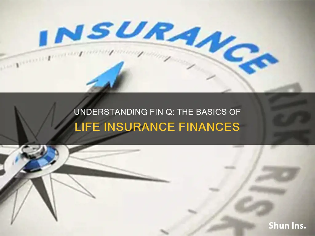 what is a fin q in life insurance