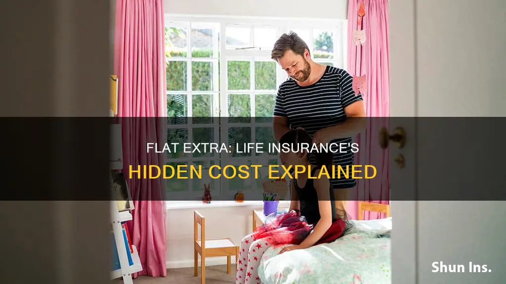 what is a flat extra in life insurance