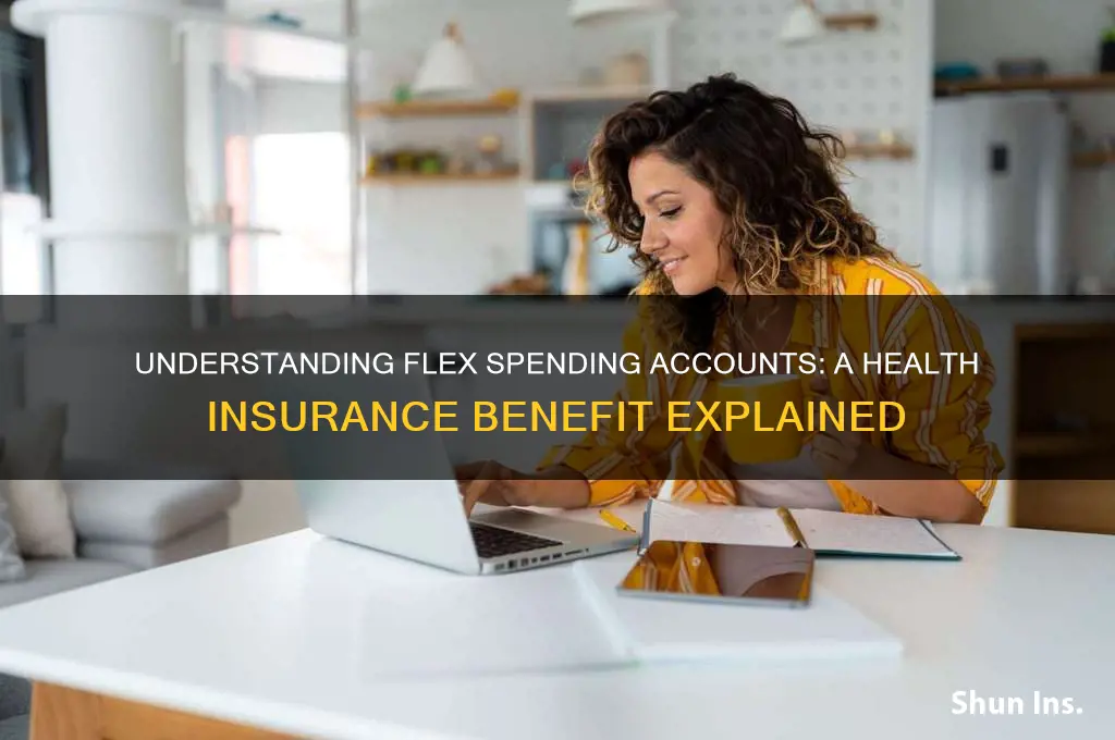 what is a flex spending account for health insurance
