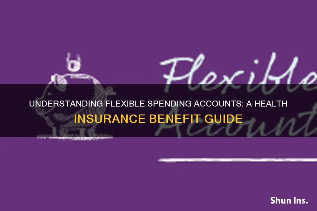 what is a flexible spending account for health insurance