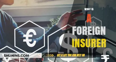 Understanding Foreign Insurers: Definition, Role, and Global Insurance Impact