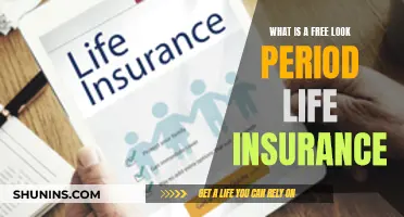 Understanding Life Insurance: Free Look Period Explained