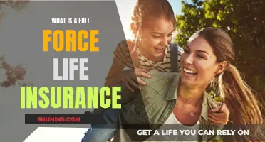 Full Force Life Insurance: Maximizing Your Coverage and Benefits