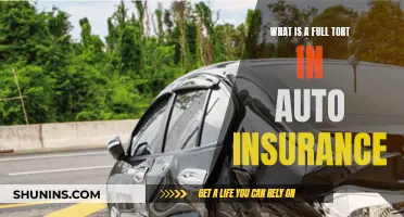 Tort Auto Insurance: Understanding Full Coverage and Benefits