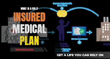 Fully Insured Medical Plans: What You Need to Know