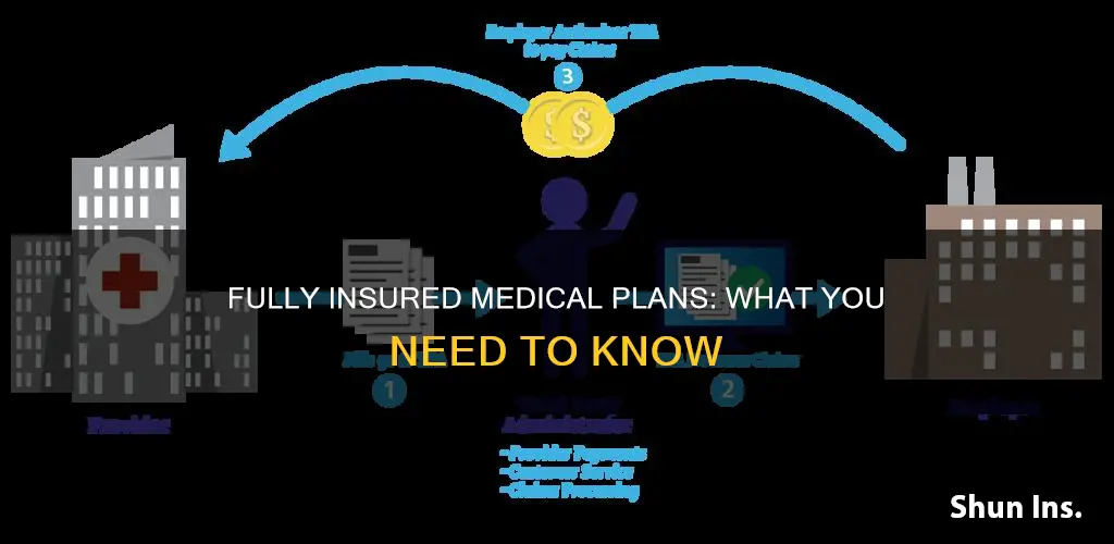 what is a fully insured medical plan