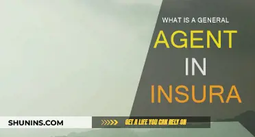 Understanding Insurance: General Agent's Role and Responsibilities