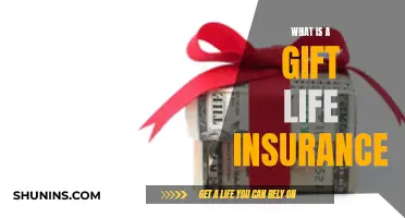 Gift of Life Insurance: A Loving Legacy