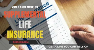 Supplemental Life Insurance: How Much is Enough?