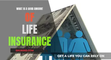 How Much Life Insurance is Enough?