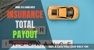 Understanding Auto Insurance: Maximizing Your Payout