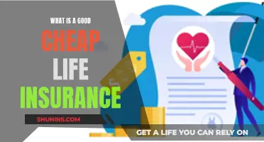 Cheap Life Insurance: Smart Ways to Save on Coverage