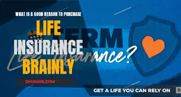 Life Insurance: Brainly's Guide to Making the Right Choice