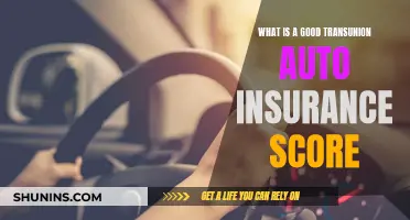 Understanding Transunion Auto Insurance Scores for Better Rates