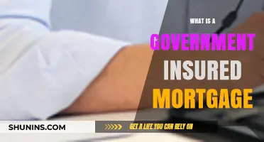 Government-Insured Mortgages: What Are the Benefits?