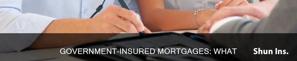 what is a government insured mortgage