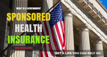Understanding Government-Sponsored Health Insurance: Coverage, Benefits, and Eligibility
