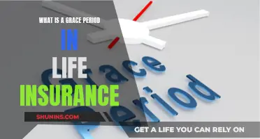 Understanding Life Insurance Grace Periods: Your Coverage Safety Net