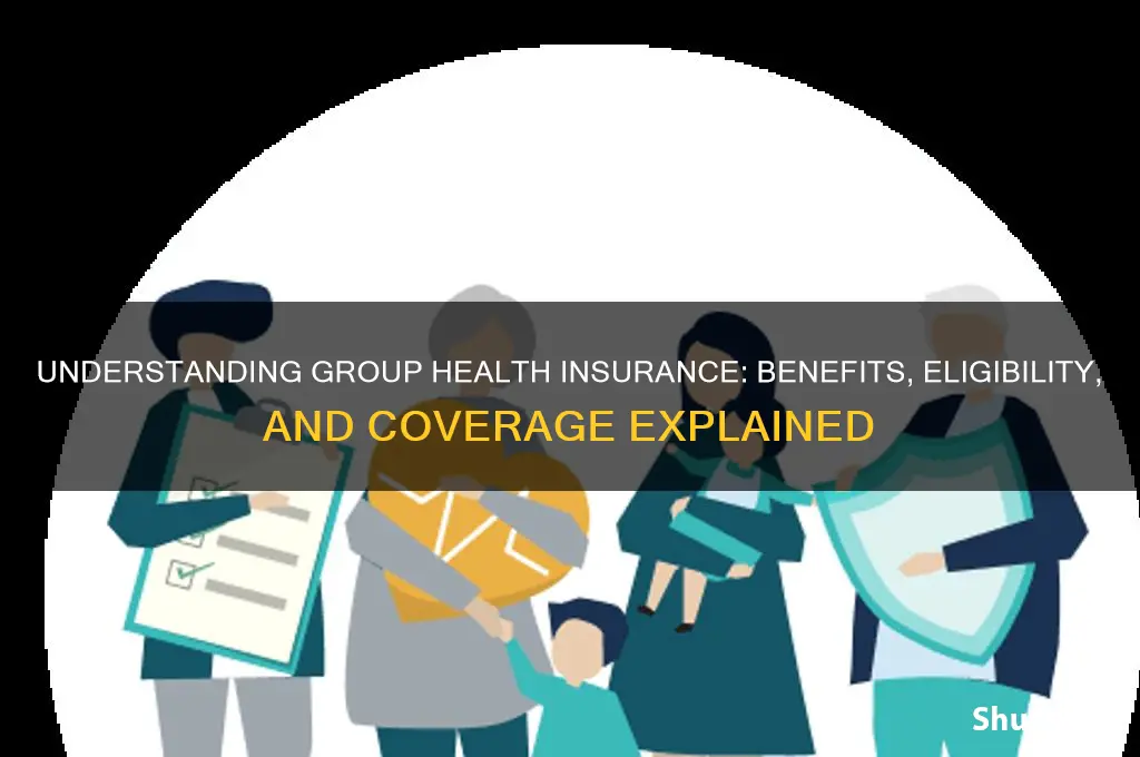 what is a group for health insurance