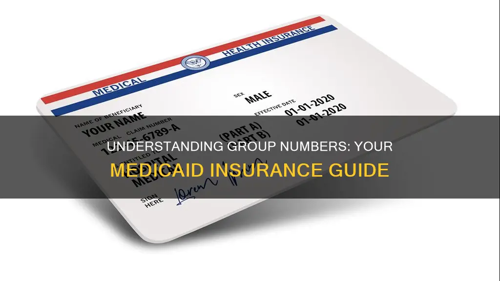 what is a group number for insurance medicaid
