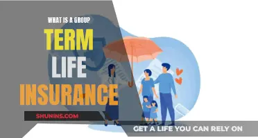 Group Term Life Insurance: What You Need to Know