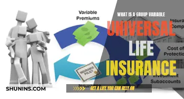 Group Variable Universal Life Insurance: What You Need to Know