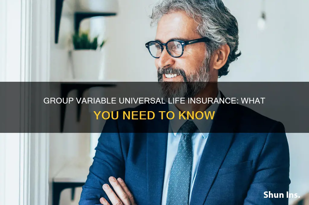 what is a group variable universal life insurance