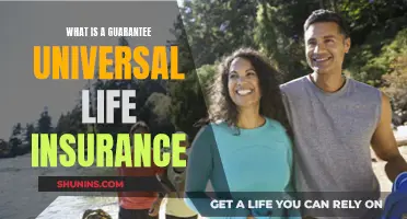 Universal Life Insurance: Guaranteed Protection for Your Loved Ones