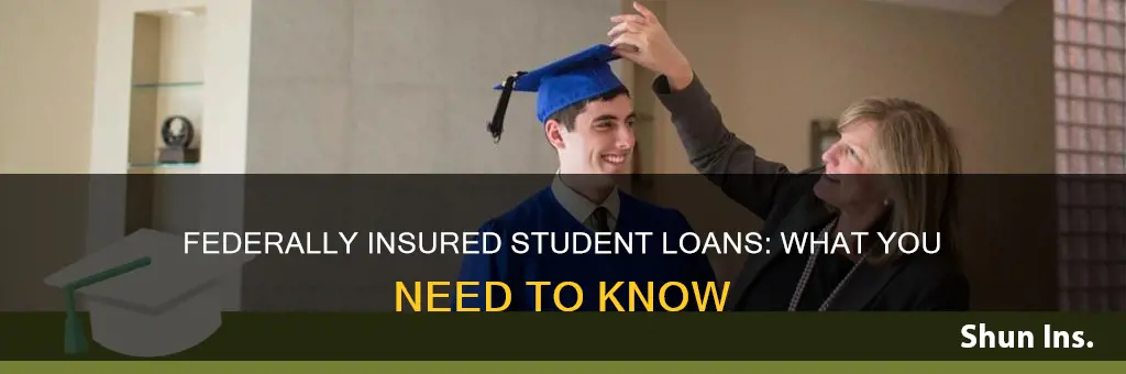 what is a guaranteed federally insured student loan