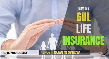 Understanding 'Gul' Life Insurance: What You Need to Know