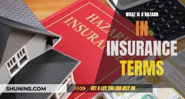 The Unseen Hazards: Understanding Insurance Liabilities and Their Impact