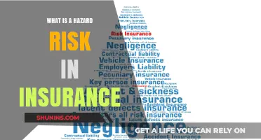 Understanding Hazard Risks: Insurance Essentials
