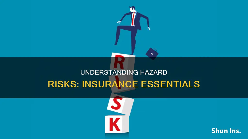 what is a hazard risk in insurance
