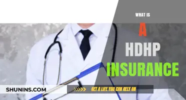 Understanding HDHP Insurance: Benefits, Costs, and How It Works