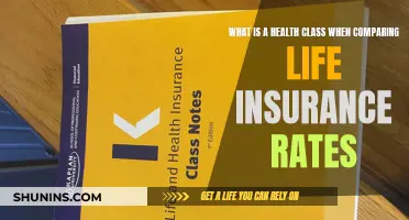 Health Classes: Understanding Life Insurance Rates Better