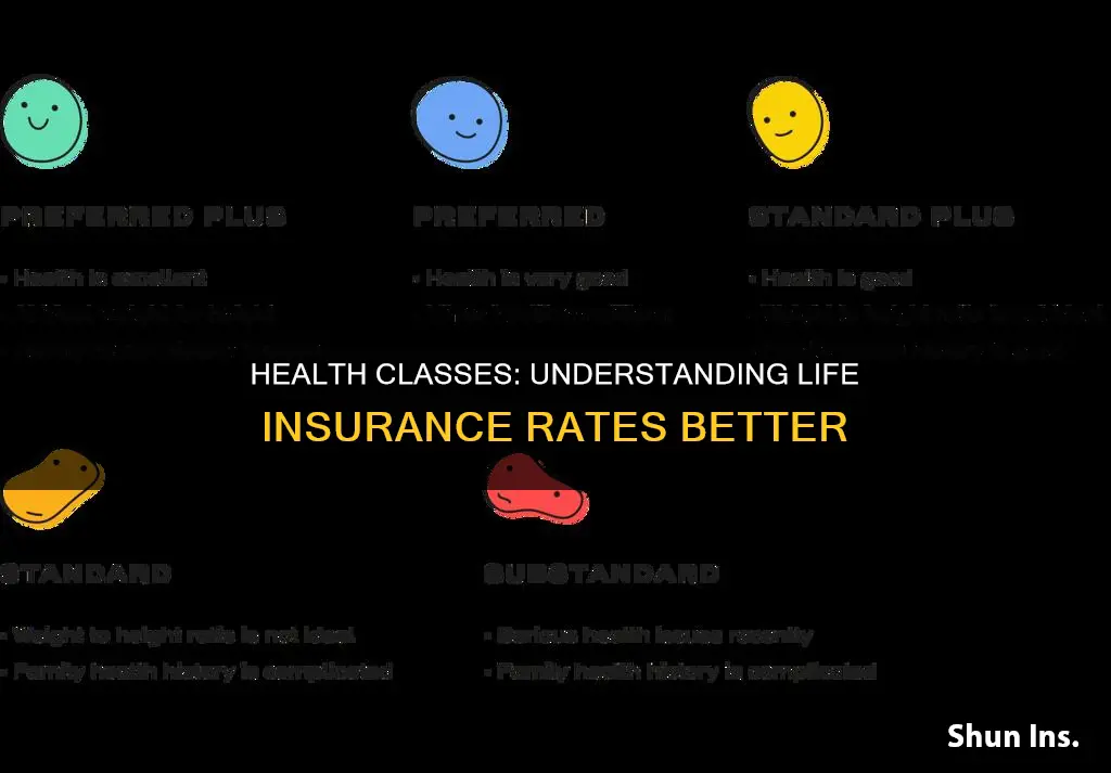 what is a health class when comparing life insurance rates