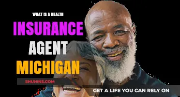 Understanding the Role of a Michigan Health Insurance Agent