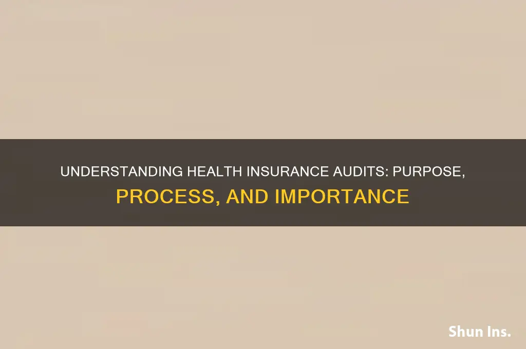 what is a health insurance audit