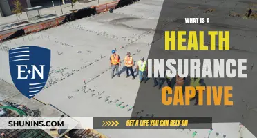 Understanding Health Insurance Captives: Benefits, Risks, and How They Work
