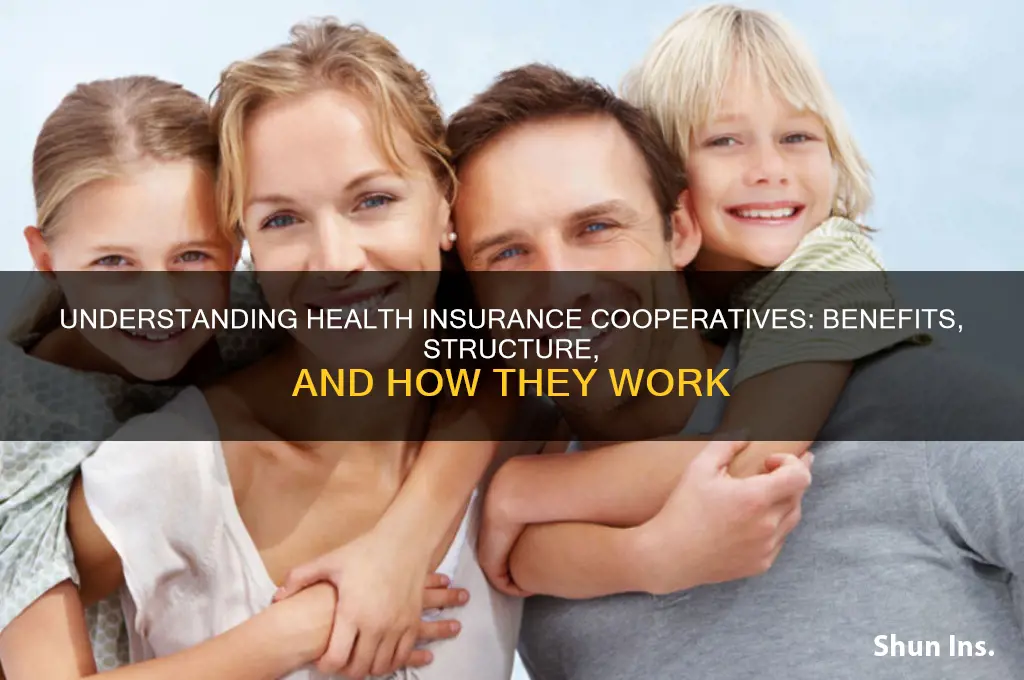 what is a health insurance cooperative