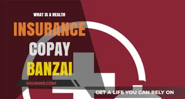 Understanding Health Insurance Copay Banzai: A Comprehensive Guide