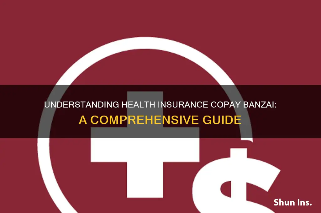 what is a health insurance copay banzai