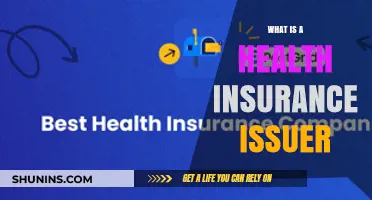 Understanding Health Insurance Issuers: Key Roles and Benefits Explained