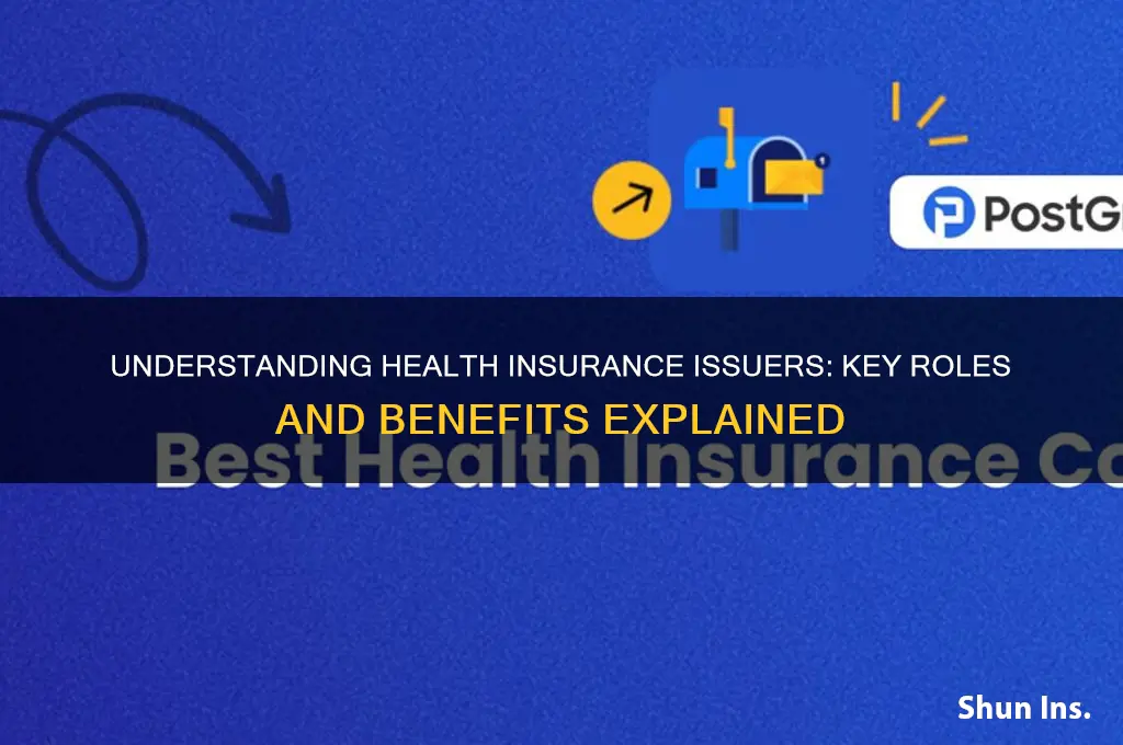 what is a health insurance issuer
