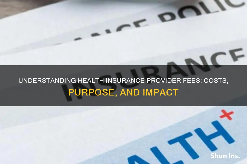 what is a health insurance provider fee